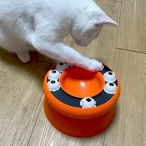 멍냥이노리터 노즈워크 강아지 고양이 지능개발 먹이 간식 퍼즐 슬로우 식기 장난감, 1개, 주황이