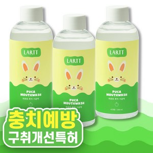 라르트 무알콜 충치예방 어린이가글 구강청결제 푸카가글 사과향 병가글 300 ml, 3개, 300ml