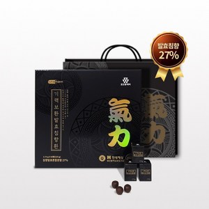 코오롱제약 기력보환 발효침향환 60환, 225g, 1개