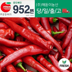 <해돋이농산> 국내산 햇홍고추 빨간고추 붉은고추 상품 특품 5kg 1박스 (10kg내외), 5kg 상품(못난이), 1개