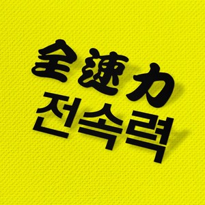 에캄 전속력 오토바이 차량 세트 스티커 YTK-8006, 1개, 검정 무광