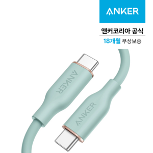 앤커 파워라인3 플로우 USB-C to C 케이블 90cm 민트 그린, A8552H61, 1개