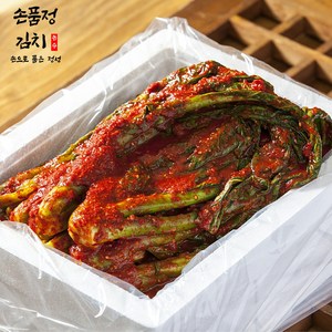 손품정 진짜 전라도 돌산 갓김치 국내산, 1개, 5kg