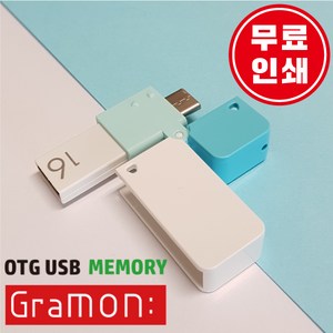 문스톤코리아 OTG USB 그라몬 C타입 스카이블루, 64GB