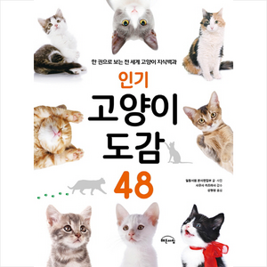 고양이 도감 48 인기고양이