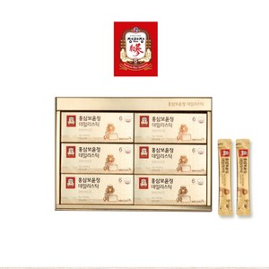 정관장 홍삼보윤정 데일리스틱 + 쇼핑백, 30회분, 1세트