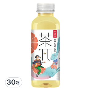 왕부정 중국 음료수 차파이 자몽 재스민차, 30개, 500ml