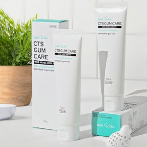 메이크맨 팔무 천연 치약 잇몸 시린이 임산부 좋은 프로폴리스 자일리톨 불소 치약, 100g, 4개