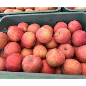 1번중도매인 산지에서 바로 보내는 안동사과(부사) 가정용 흠과 소과, 1박스, 가정용 소과 1kg(4-7과)