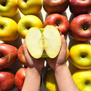 [달과향]산지직송 고당도 청송 안동 문경 경북 시나노골드 황금 사과 2kg 3kg 5kg, (실속형) 소꼬마과 14-16과 2kg, 1개