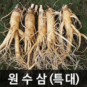 청명네이처 금산인삼 수삼(원수삼) 특대 (750g) (6~7뿌리), 1개, 750g