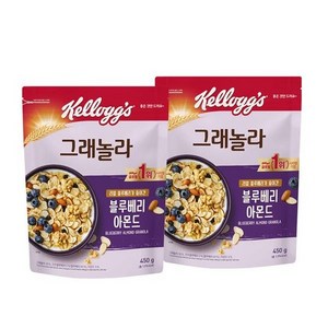 켈로그 블루베리 아몬드 그래놀라 시리얼, 450g, 2개