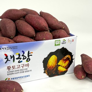 [세모농]최상품 세척 꿀고구마 베니하루카 영암, 영암 꿀고구마 3kg 긴특.긴상, 1박스