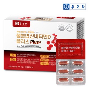 종근당 플러스 비타민D3 철분 엽산 헴철 60캡슐 철분제 추천 영양제