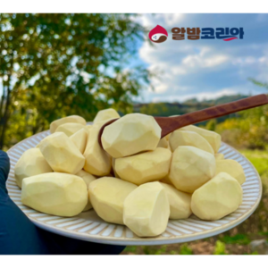 공주밤 햇 깐밤 생률 산지직송 당일작업 공주알밤, 1개, 500g