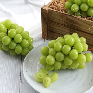 달님식품 샤인머스캣 shinemuscat grape, 샤인머스캣 4kg 내외 (4-5수), 1개