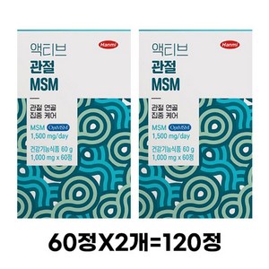 한미사이언스 액티브 관절 MSM 60g, 120정, 1개