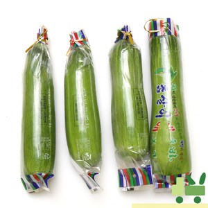 사라상회 인큐 애호박 5개 (상), 1박스, 1Kg