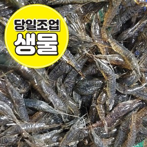 [흑새우] 국내산 민물새우 급냉 500g / 1kg 새뱅이 한국인의밥상 정림새우농장 줄새우 토하 김치양념 새우탕 새우깡, 1개, 생물) 검정줄새우 500g