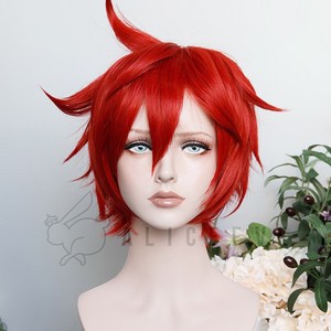 앨리스이브 셋팅용 숏 샤기컷 코스프레 가발 30cm 통가발, 1개, 레드 S0041