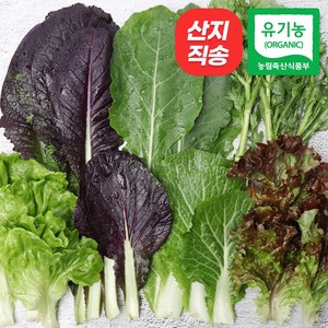 [자연마을] 친환경인증 유기농 당일수확 모듬 쌈 야채 샐러드 상추 모듬쌈, 1박스, 1kg, 1kg