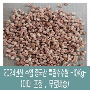 [다온농산] 수입 중국산 특찰수수쌀 -10Kg- 대용량, 1개, 10kg