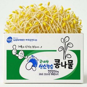 [ 평점 4.8이상 무농약 인증] 생산 콩나물 국산콩 산소 콩나물, 2kg, 1박스