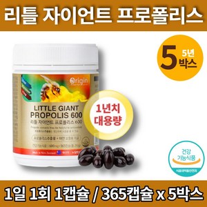 데일리 메가 로얄 프로폴리스 아연 플라노보이드 식약처 기능성 인증 프리폴리스 추출물 면역력에좋은 항산화 영양제 대용량, 5박스