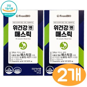 프롬바이오 매스틱 위건강엔 메스틱 식약처인증 2박스, 2개, 45g