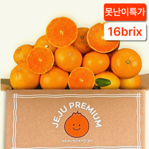 반값할인상품 제주 못난이 천혜향 초특가, 1개, 3kg (랜덤과)