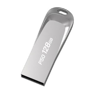 PLEIGO USB 메모리 P50, 128GB, 1개