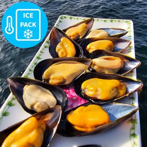 거제청정 홍합 4kg 당일채취 당일발송, 1개