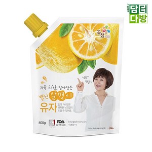 꽃샘 별난알맹이 유자 파우치 500g, 1개