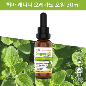 오레가노 오일 30ml Carvacrol 80% 허바 캐나다, 1개