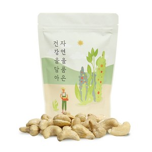 자연닮음 깨끗한 위생설비 햇 달콤달콤 베트남 생캐슈넛 1kg, 1개