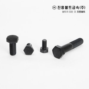 특강 고장력 육각볼트 개당 판매(12mm ~ 100mm) M6 M8 M10 M12 M14, 15mm, 1개