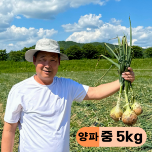 만근농장 국내산 햇양파, 1개, 5kg(중)