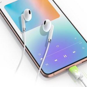 삼성 애플 아이폰 호환 오픈형 C타입 유선 이어폰, 블랙