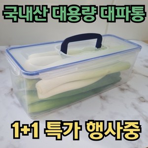 1+1 국산 대파통 파보관통 채소 보관용기, 단품, 2개, 1개