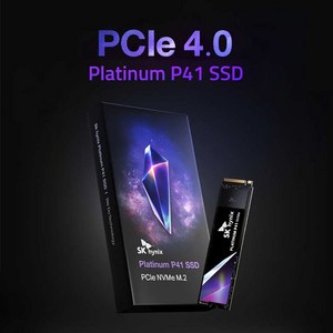 SK하이닉스 Platinum P41 NVMe SSD, 2TB