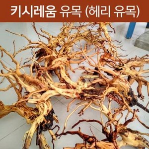 키시레움 유목 (헤리 유목) L 사이즈 [45~60cm] 어항 수족관 수조 유목 레이아웃 나무, 1개