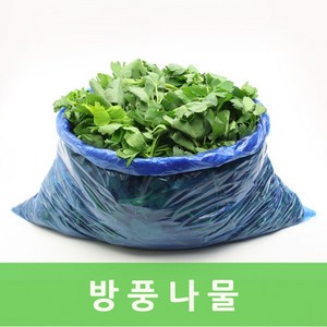 싱싱한 방풍나물4kg 웰빙채소 싱싱지오, 1개