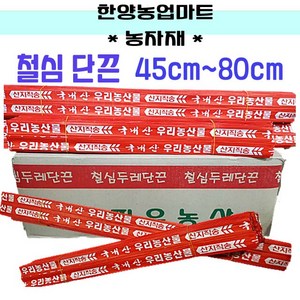 농자재-단끈 45cm~80cm 신토불이 농산물 야채 부추 결속끈 철심끈, 옵션8 1묶음-250개 2.2cm x 65cm, 1개