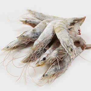 세종수산 신선함을 담아낸 냉동새우 20미, 1개