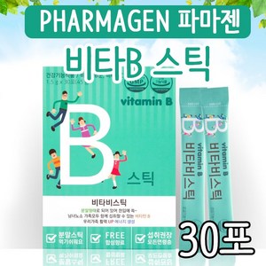 파마젠 비타B스틱 비타민, 45g, 1개