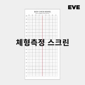 바디체크보드_3type 체형스크린 체형분석 체형측정스크린 셀프몸매교정표 자세교정격자표, 텐트천, 블라인드형, 1개