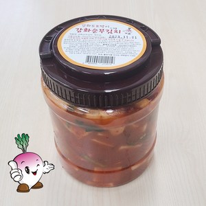 강화도 토박이 순무 순무김치 새우젓 강화 생순무, 1개, 순무김치1.5kg