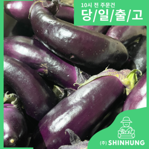 국내산 햇 가지 한박스 못난이 가정용 [신흥유통][무료배송], 가지 1kg, 1개