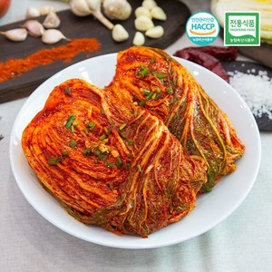 [빛고을김치] 당일생산 전라도 매니아 배추김치 1kg, 5개