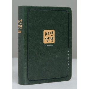 비전성경(카키색)(특미니)(단본)(색인)(개역개정), 두란노서원